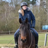Halsring Reiten